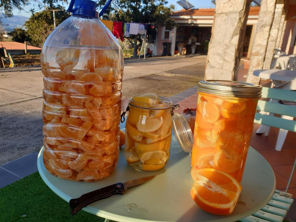 Fundão Quinta De Sao Marcosゲストハウス エクステリア 写真
